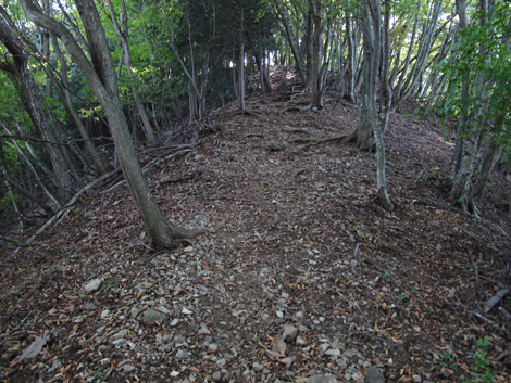20151014hike (129)